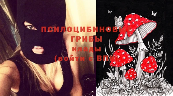 трава Новозыбков