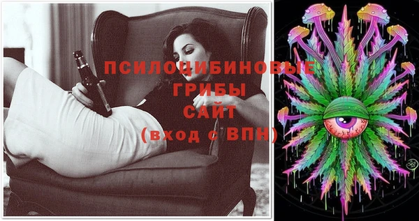 гашиш Новодвинск