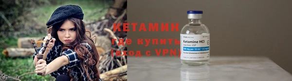 трава Новозыбков