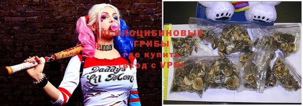 трава Новозыбков
