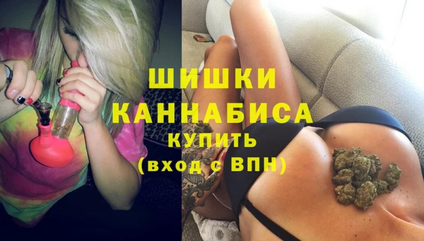 трава Новозыбков