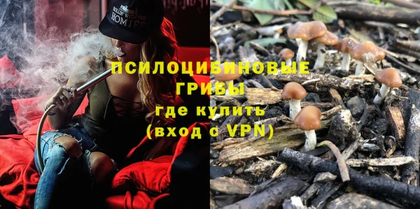 трава Новозыбков